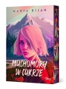  Muchomory w cukrze