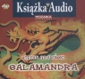 Salamandra
	 (Audiobook)