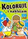 Koloruję i naklejam 1 80 naklejek