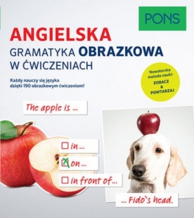 Angielska gramatyka obrazkowa w ćwiczeniach - Opracowanie zbiorowe