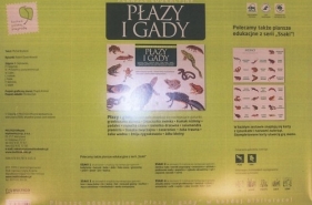 Płazy i gady - Brodacki Dzwonkowski