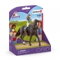 Schleich Horse Club, Lisa i Storm (SLH42516)