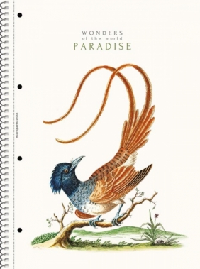 Kołozeszyt Astra A4/80k kratka - Paradise (104020001)