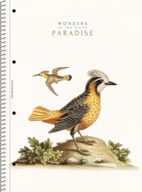 Kołozeszyt Astra A4/80k kratka - Paradise (104020001)