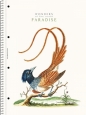 Kołozeszyt Astra A4/80k kratka - Paradise (104020001)