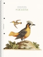 Kołozeszyt Astra A4/80k kratka - Paradise (104020001)