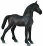 Źrebię Friesian Foal - Czarne