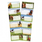 Naklejki na zeszyt Horses 25szt