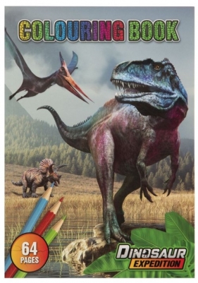 Kolorowanka Dino A4