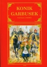 Konik Garbusek