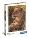 Puzzle 500 Feline Love
