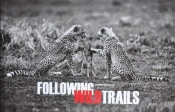 Following Wild Trails - Tomasz Gudzowaty