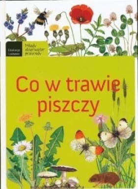 Co w trawie piszczy