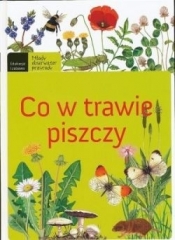 Co w trawie piszczy