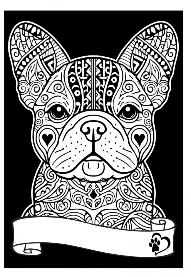 Kolorowanka Welwetowa A4 Buldog Francuski