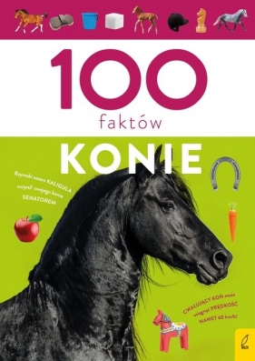 100 faktów. Konie - Zalewski Paweł
