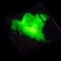 Crazy Science - Slime w ciemności