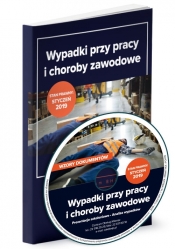Wypadki przy pracy i choroby zawodowe Kompendium wiedzy - Opracowanie zbiorowe