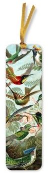 Zakładka do książki Kolibry Ernst Haeckel FT BKMK82