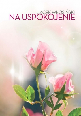 Na uspokojenie - Włosiński Jacek