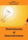 Determinants of Innovativeness