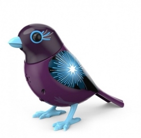 DigiBirds 2 z ramką Fireworks (S88315)