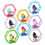 DigiBirds 2 z ramką Fireworks (Uszkodzone opakowanie) (S88315)