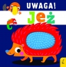 Uwaga, jeż!