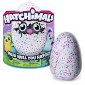 Hatchimals Jajko Pingwinek Turkus