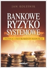 Bankowe ryzyko systemowe Źródła i instrumenty redukcji Jan Koleśnik