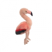 Flaming karmazynowy 23cm