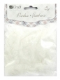 Piórka 5-12 cm 5G White