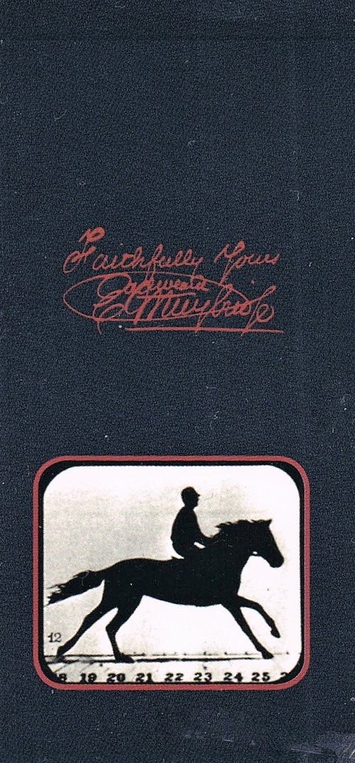 Kineograf Muybridge flipbook - Koń Florence