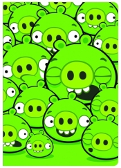 Zeszyty ANGRY BIRDS A5 linia 60