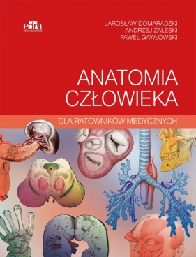 Anatomia człowieka dla ratowników medycznych - Domaradzki J., Gawłowski P., Zaleski A.