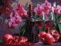 Malowanie po numerach - Wino i orchidee 30x40cm