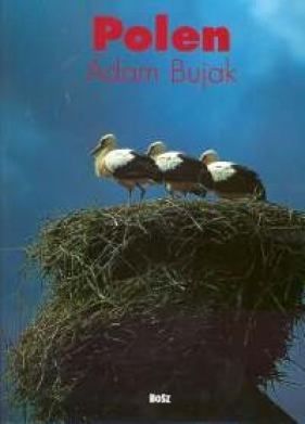 Polska - Bujak Adam