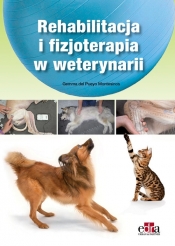 Fizjoterapia i rehabilitacja w weterynarii - Pueyo Montesinos Gemma del