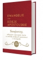 Ewangelie i Dzieje Apostolskie z infografikami (dla seniorów)