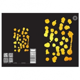 Zeszyt Ziemia Obiecana spots A5 60k. 70 g krata (0615-KR-spots-lww)