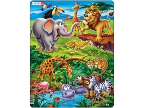 Safari - <br />