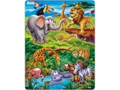 Safari - <br />