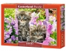 Puzzle 1000 Kittens In Summer Garden C-104