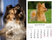 Kalendarz 2026 ścienny Psy