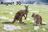 Magnes 3D Kangury