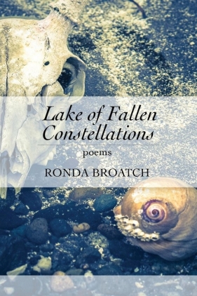 Lake of Fallen Constellations - Broatch Ronda