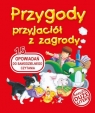 Przygody przyjaciół z zagrody  Zarawska Patrycja