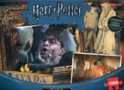 Puzzle 1000: Harry Potter (011163)