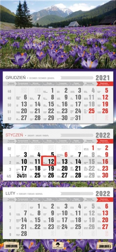 Kalendarz 2022 trójdzielny Krokusy
