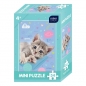 Puzzle Interdruk mini 54 el.